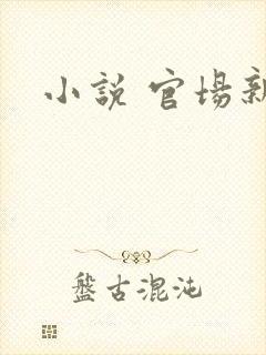 小说 官场新贵