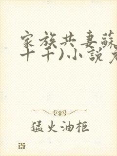 家族共妻苏苏(十千)小说免费