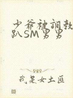少爷被调教室跪趴SM男男