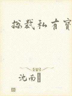 总裁私有宝贝