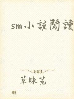 sm小说阅读