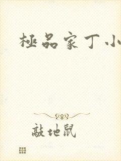 极品家丁小说