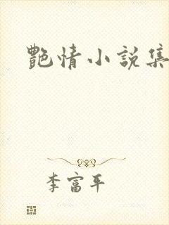 艳情小说集封面