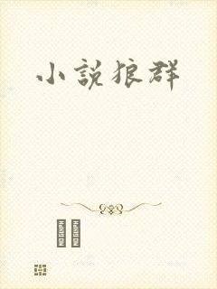 小说狼群封面