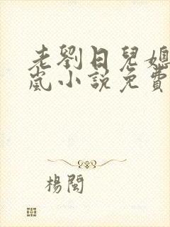老刘日儿媳妇张岚小说免费阅读