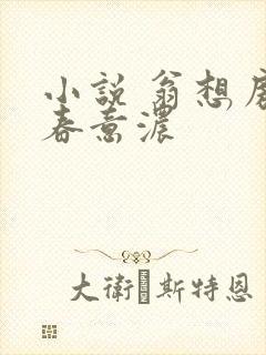 小说 翁想房中春意浓