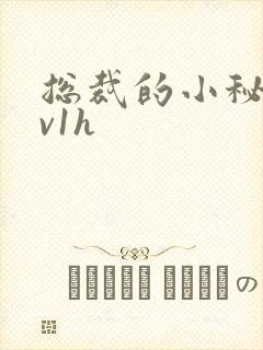 总裁的小秘书1v1h封面