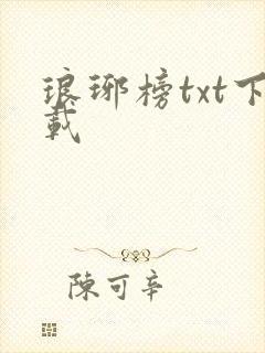 琅琊榜txt下载