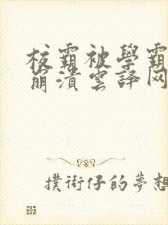 校霸被学霸玩到崩溃云译网