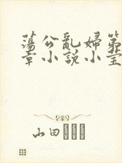 荡公乱妇第51章小说小莹