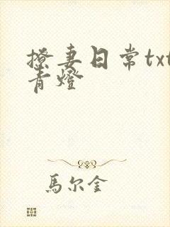 撩妻日常txt青灯封面