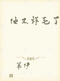 他又炸毛了