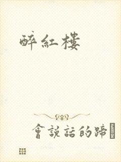 醉红楼