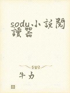 sodu小说阅读器