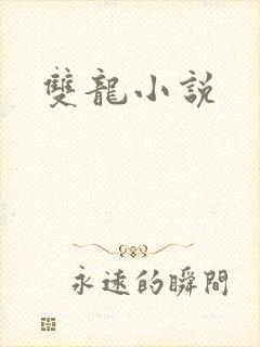 双龙小说封面