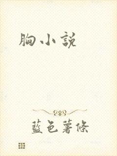 胸小说封面