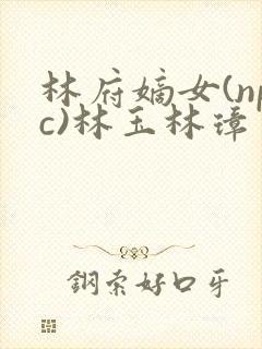 林府嫡女(npc)林玉林璋