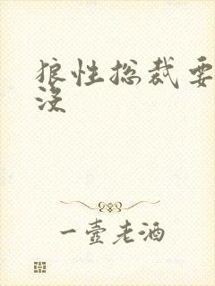 狼性总裁要够了没