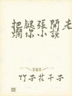把腿张开老子臊烂你小说封面