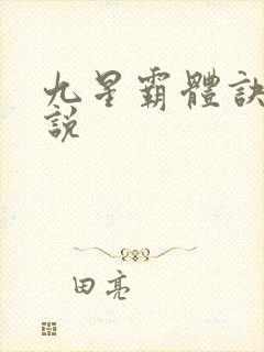 九星霸体诀 小说