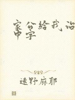 家公给我治疗5中字