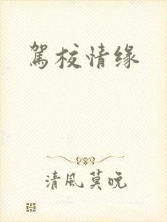 驾校情缘封面