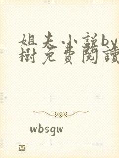 姐夫小说by野树免费阅读全文