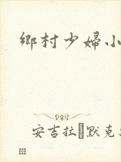 乡村少妇小说封面