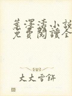 叶泽涛小说全文免费阅读全文