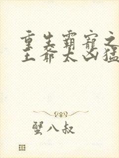 重生霸宠之摄政王爷太凶猛