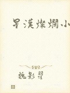 星汉灿烂小说