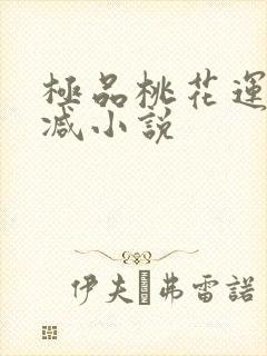 极品桃花运未删减小说