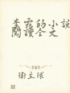 李霖的小说免费阅读全文