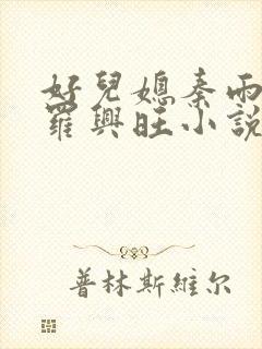 好儿媳秦雨罗明罗兴旺小说