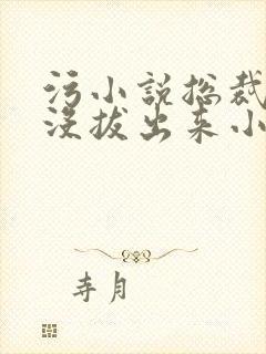 污小说总裁整夜没拔出来小说在线阅读