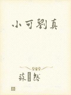 小可刘真封面