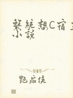 系统想C宿主的小说
