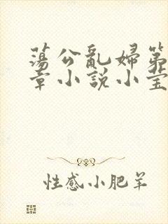 荡公乱妇第51章小说小莹封面