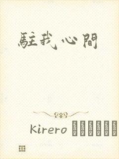 驻我心间封面