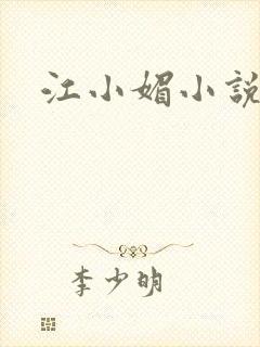 江小媚小说封面
