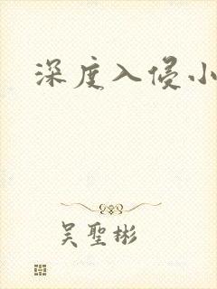 深度入侵小说