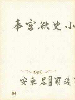 奉宫欲史小说