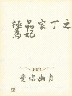 极品家丁之册母为妃