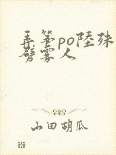 弄筝po陆殊词劈雾人封面