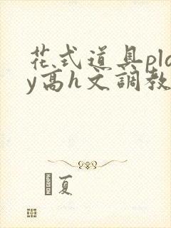 花式道具play高h文调教封面
