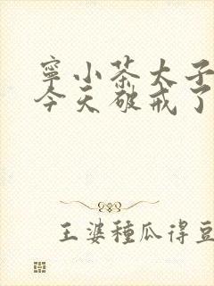 宁小茶太子殿下今天破戒了吗免费阅读封面