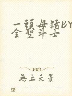 一头母猪BY黄金圣斗士