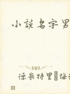 小说名字男生