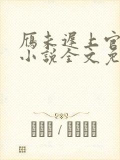 雁未迟上官穿越小说全文免费阅读
