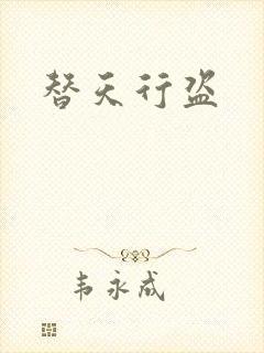 替天行盗